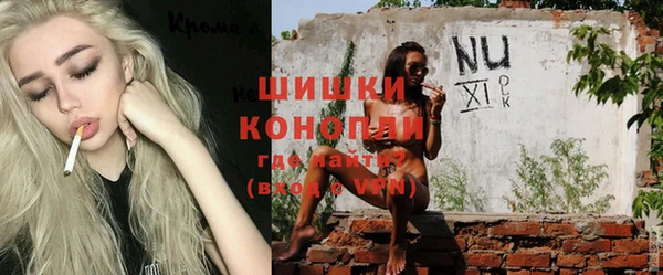 молекула духа Алексеевка