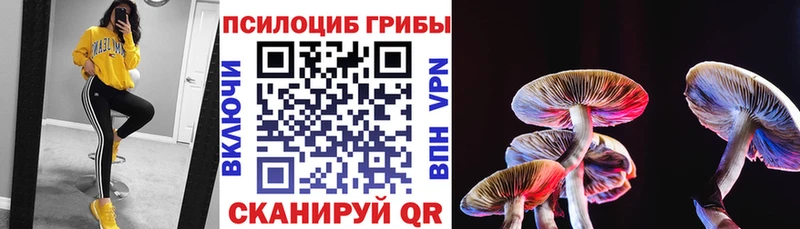 Галлюциногенные грибы GOLDEN TEACHER  Павловская 